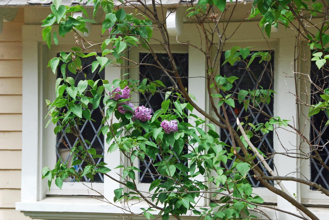 Apple Tree Historic Bed & Breakfast Niagara-on-the-Lake